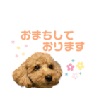 ちゃこのスタンプ〜挨拶編〜（個別スタンプ：14）