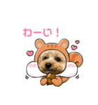 ちゃこのスタンプ〜挨拶編〜（個別スタンプ：16）