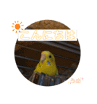 うめちゃんぴーちゃん彩りライフ（個別スタンプ：2）