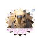 うめちゃんぴーちゃん彩りライフ（個別スタンプ：5）