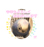 うめちゃんぴーちゃん彩りライフ（個別スタンプ：7）