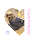 うめちゃんぴーちゃん彩りライフ（個別スタンプ：20）
