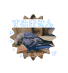 うめちゃんぴーちゃん彩りライフ（個別スタンプ：25）