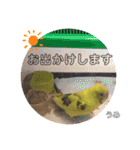 うめちゃんぴーちゃん彩りライフ（個別スタンプ：32）