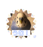 うめちゃんぴーちゃん彩りライフ（個別スタンプ：33）