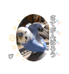 うめちゃんぴーちゃん彩りライフ（個別スタンプ：35）