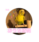 うめちゃんぴーちゃん彩りライフ（個別スタンプ：37）
