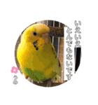うめちゃんぴーちゃん彩りライフ（個別スタンプ：40）