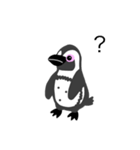 ケープペンギン(G)（個別スタンプ：1）
