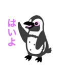 ケープペンギン(G)（個別スタンプ：2）