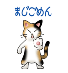 猫、ネコ、ねこ！その2(感謝と謝罪）（個別スタンプ：24）