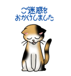 猫、ネコ、ねこ！その2(感謝と謝罪）（個別スタンプ：38）