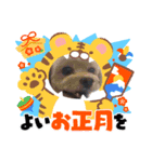 寅2022年（個別スタンプ：5）