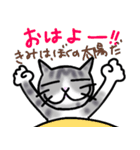 気持ちを伝えるねこのスタンプ（個別スタンプ：1）