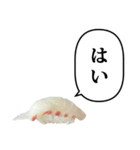 お寿司 鯛 と ふきだし（個別スタンプ：1）