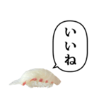 お寿司 鯛 と ふきだし（個別スタンプ：10）