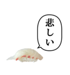 お寿司 鯛 と ふきだし（個別スタンプ：21）