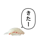 お寿司 鯛 と ふきだし（個別スタンプ：34）