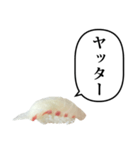 お寿司 鯛 と ふきだし（個別スタンプ：37）