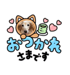 さくらとレアのスタンプ（個別スタンプ：1）