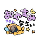 さくらとレアのスタンプ（個別スタンプ：4）