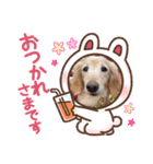 さくらとレアのスタンプ（個別スタンプ：15）