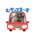 さくらとレアのスタンプ（個別スタンプ：18）