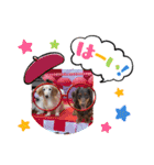 さくらとレアのスタンプ（個別スタンプ：19）