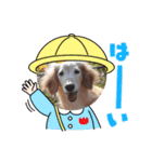 さくらとレアのスタンプ（個別スタンプ：21）