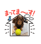 さくらとレアのスタンプ（個別スタンプ：24）