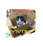 月と太陽の日常（個別スタンプ：2）