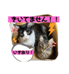 月と太陽の日常（個別スタンプ：5）