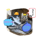 月と太陽の日常（個別スタンプ：11）
