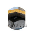 月と太陽の日常（個別スタンプ：16）