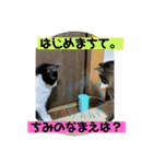 月と太陽の日常（個別スタンプ：17）