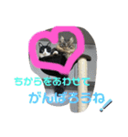 月と太陽の日常（個別スタンプ：28）