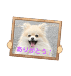 ぴのこ2021（個別スタンプ：3）