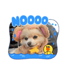 ぴのこ2021（個別スタンプ：5）