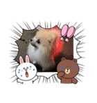 ぴのこ2021（個別スタンプ：13）