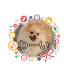 ぴのこ2021（個別スタンプ：21）