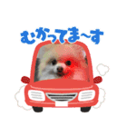 ぴのこ2021（個別スタンプ：27）