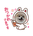 ぴのこ2021（個別スタンプ：36）