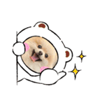 ぴのこ2021（個別スタンプ：39）