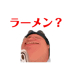 マオニートスタンプ④（個別スタンプ：8）