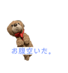 くまみLINEスタンプ2（個別スタンプ：3）