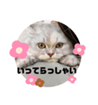 みにちゃんスタンプ3（個別スタンプ：2）