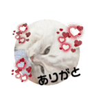 みにちゃんスタンプ3（個別スタンプ：6）