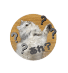 みにちゃんスタンプ3（個別スタンプ：28）