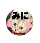 みにちゃんスタンプ3（個別スタンプ：32）