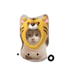 もずちぽんち（個別スタンプ：4）